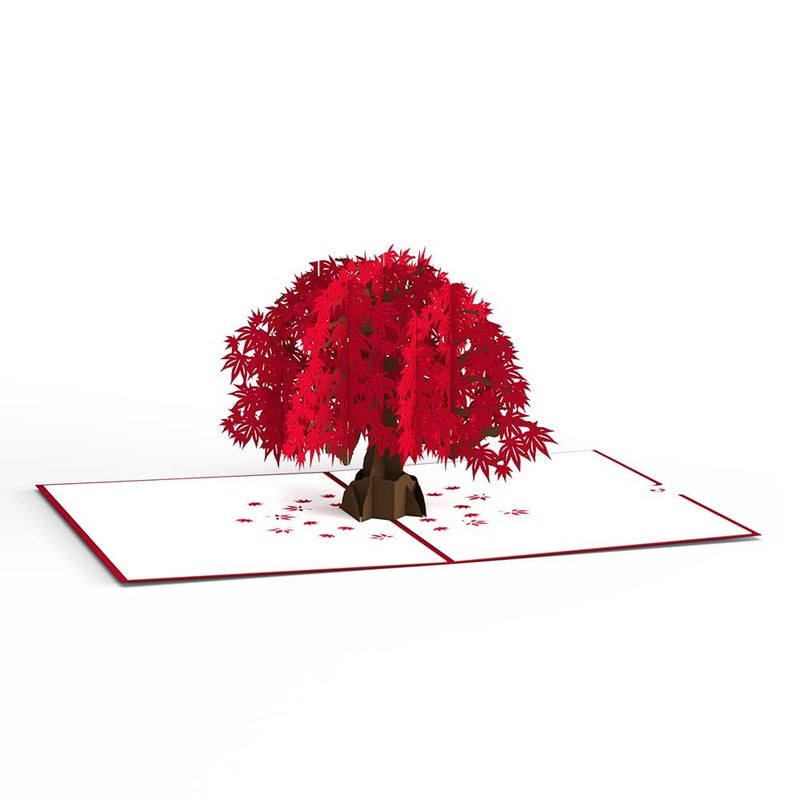 Lovepop Everyday Pop-Up Card for Her and Him- 3D Thinking of You Greeting Cards for Boys, Girls, Men, Women - 5" x 7" Maple Tree - Blank Note Card & Envelope Included - Image 5